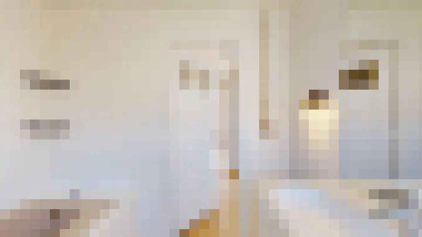 Pasteurstraat 8 Heerlen thumbnail 13