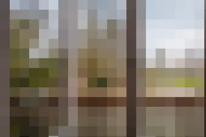 Pasteurweg 48 Leeuwarden thumbnail 33