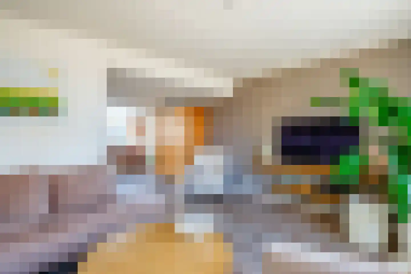Pastinaak 12 Genemuiden thumbnail 12