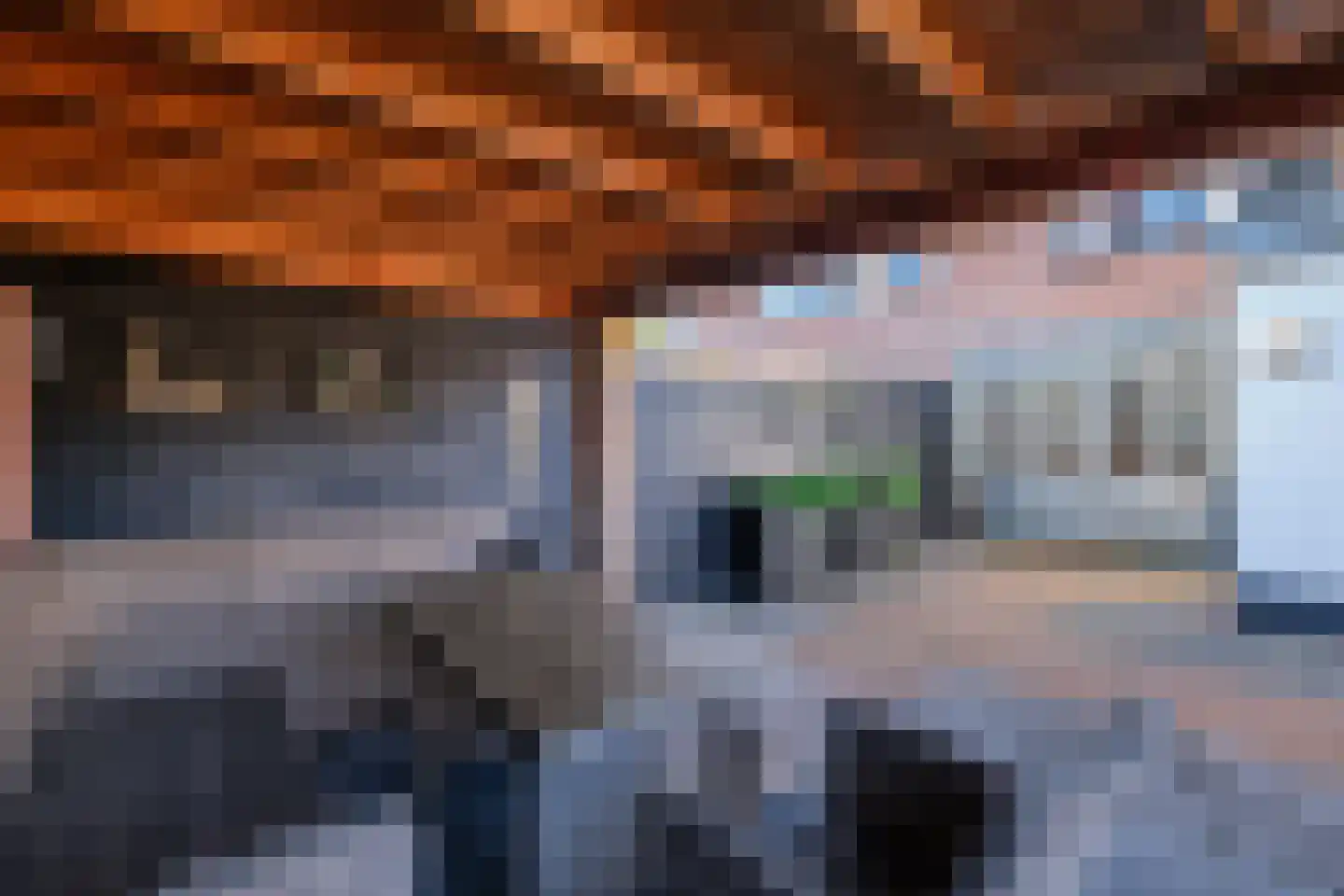 Pastinaak 12 Genemuiden thumbnail 36