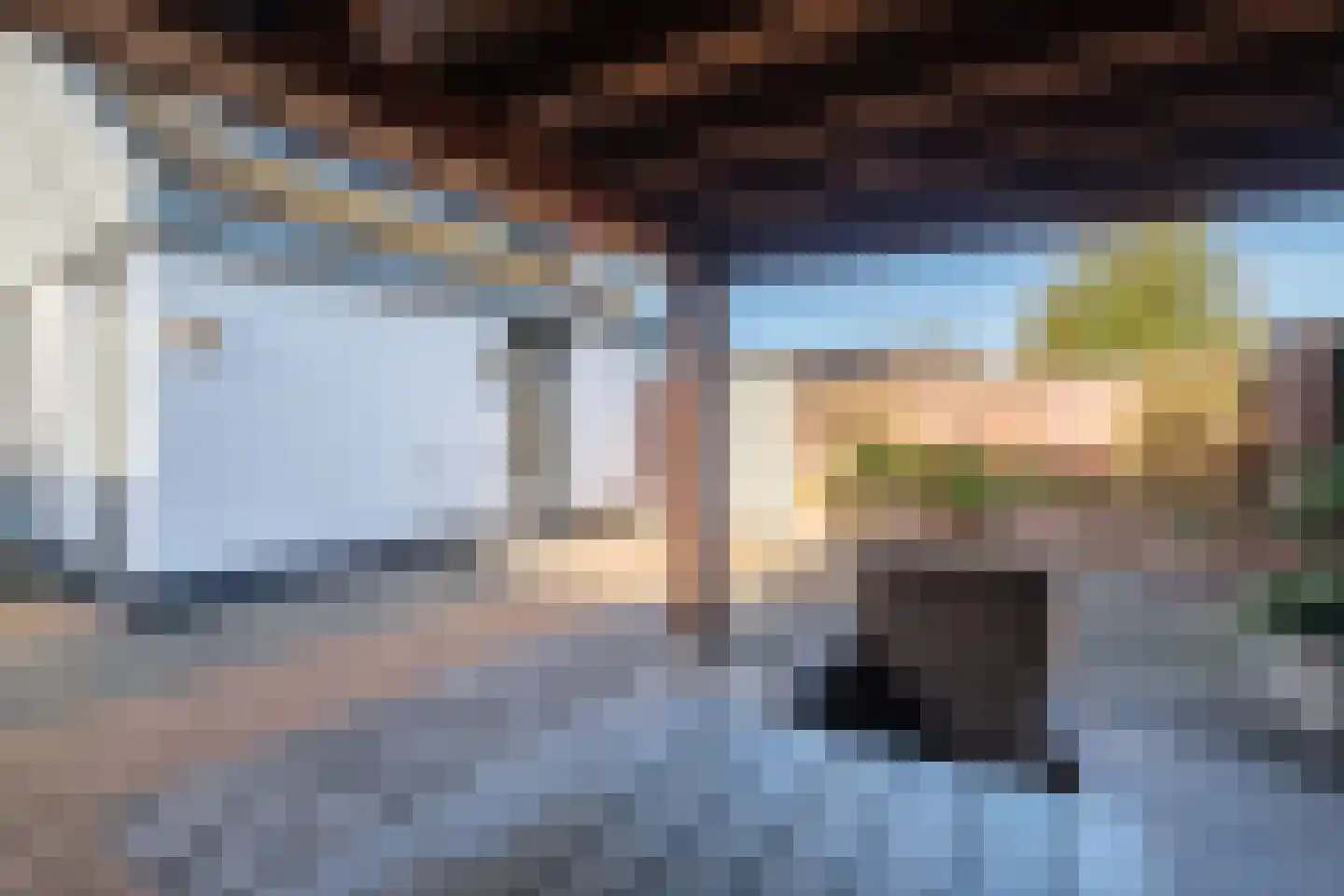 Pastinaak 12 Genemuiden thumbnail 39