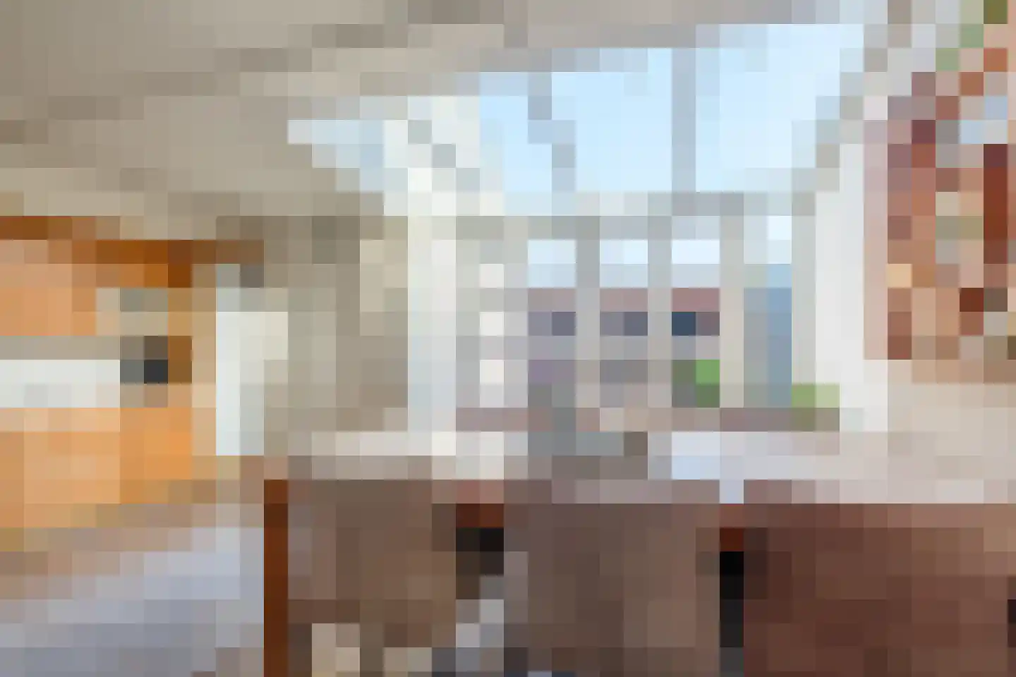 Pastinaak 12 Genemuiden thumbnail 4