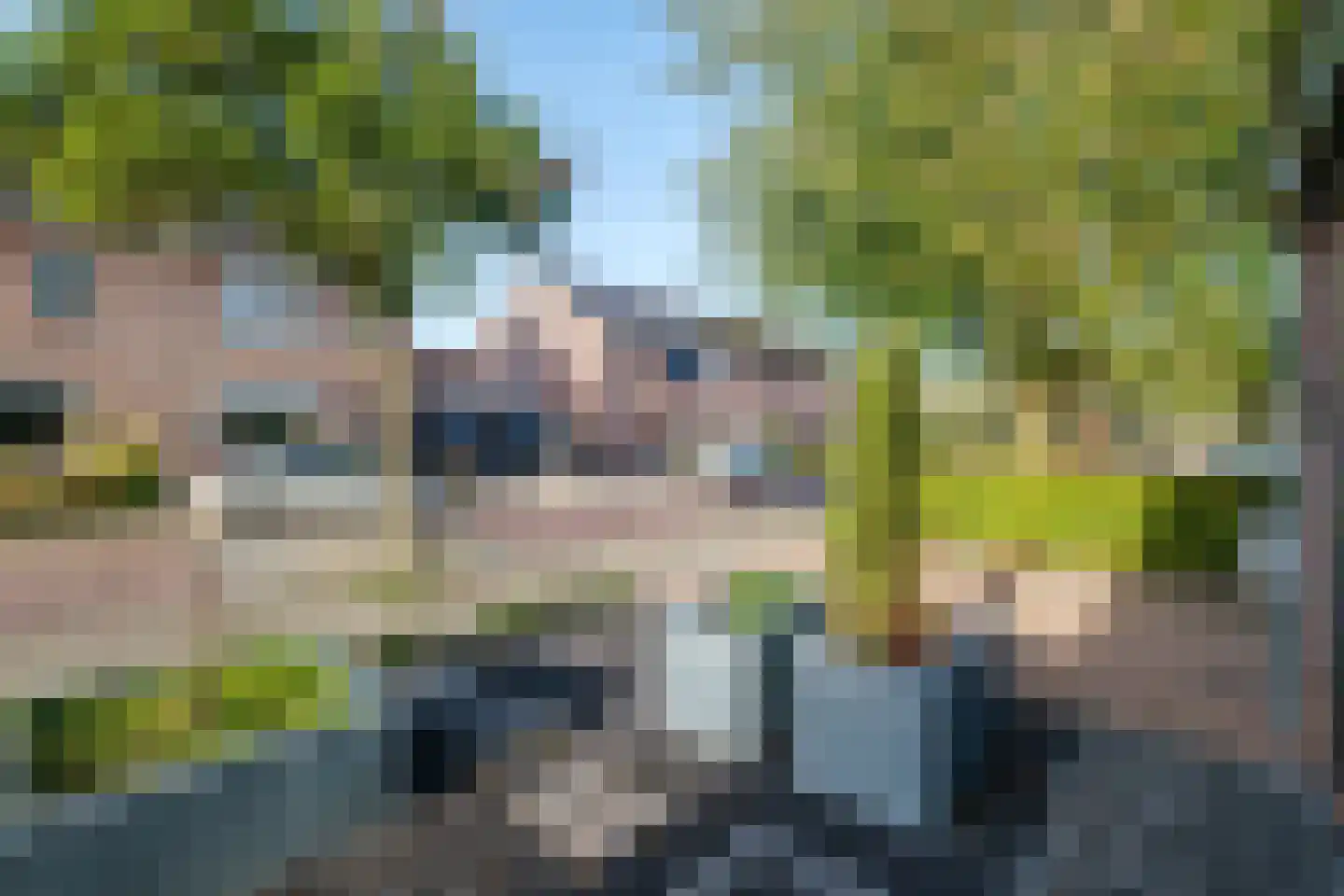 Pastinaak 12 Genemuiden thumbnail 46