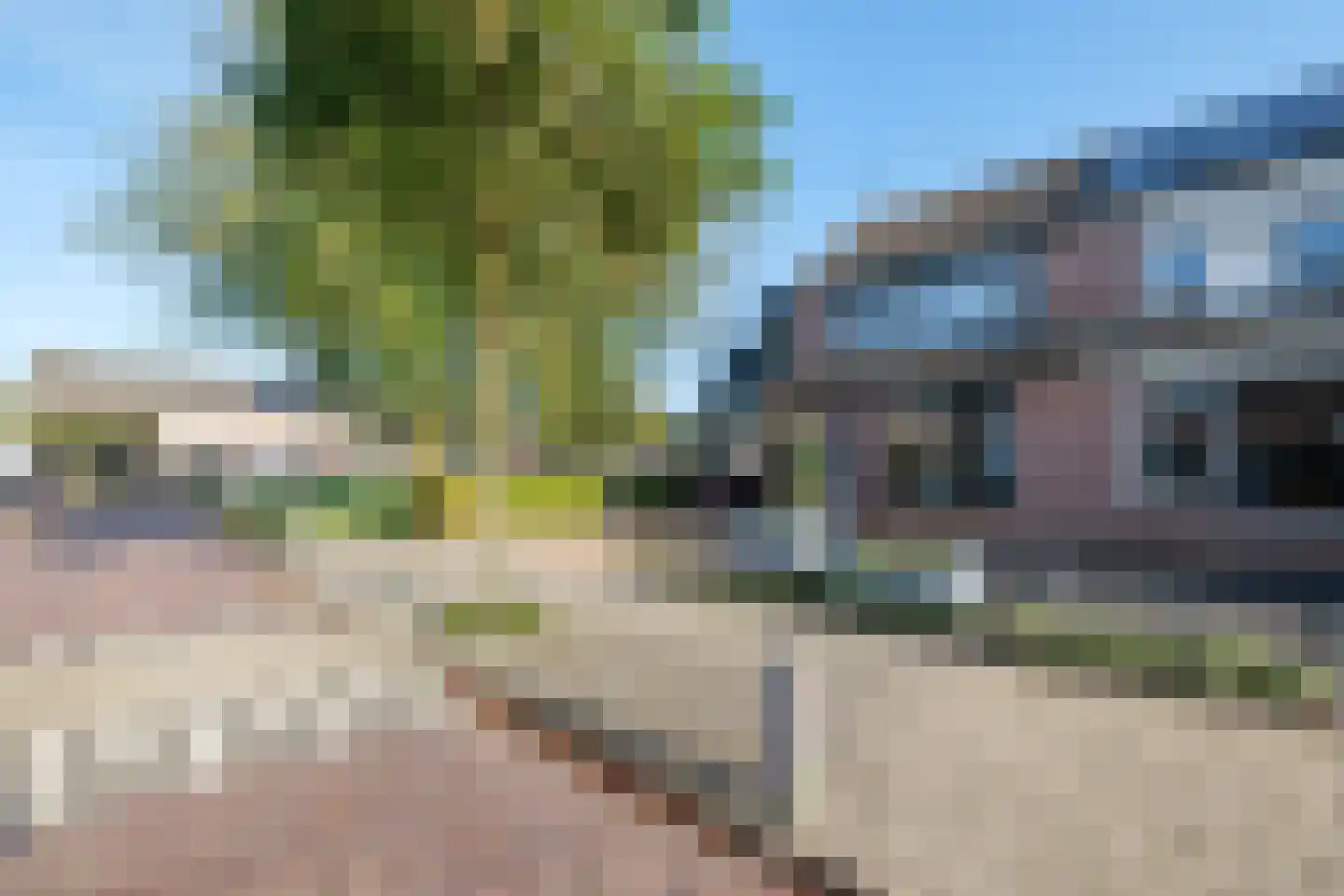 Pastinaak 12 Genemuiden thumbnail 47