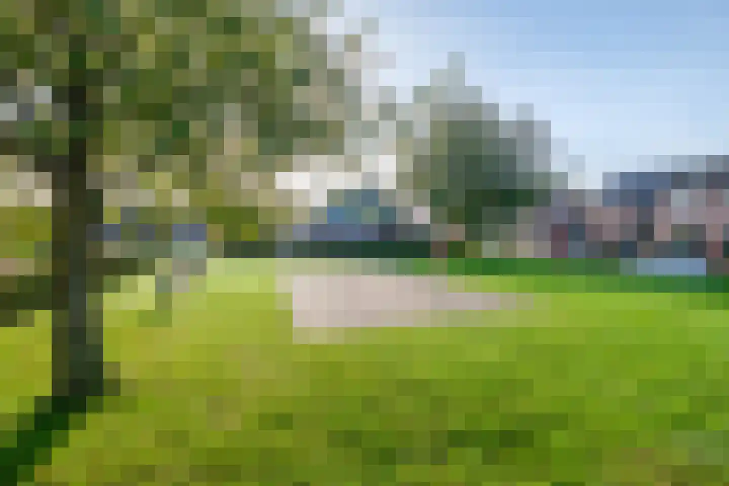 Pastinaak 12 Genemuiden thumbnail 50
