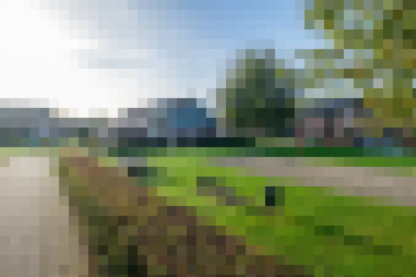 Pastinaak 12 Genemuiden thumbnail 51