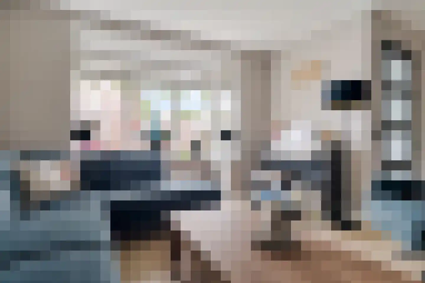 Pastinaak 16 Genemuiden thumbnail 12