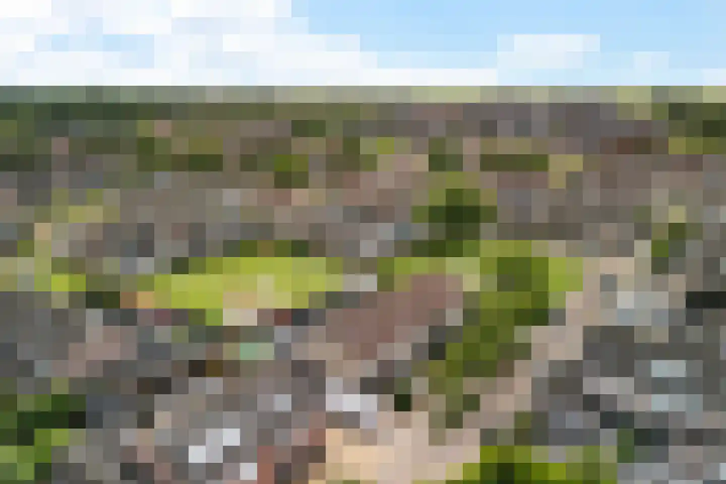 Pastinaak 16 Genemuiden thumbnail 22