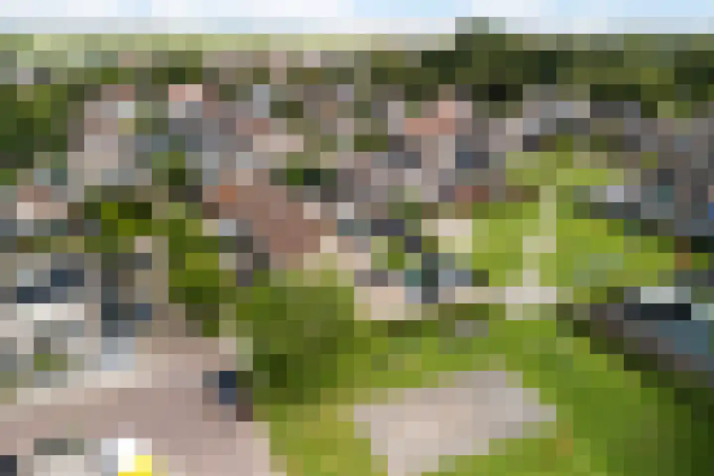 Pastinaak 16 Genemuiden thumbnail 23