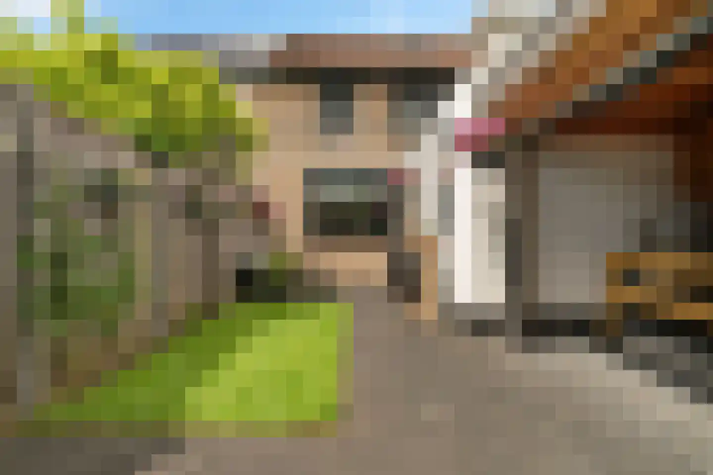 Pastinaak 16 Genemuiden thumbnail 27