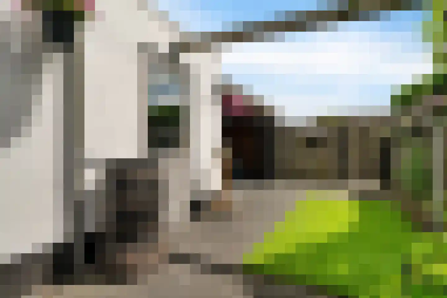 Pastinaak 16 Genemuiden thumbnail 28