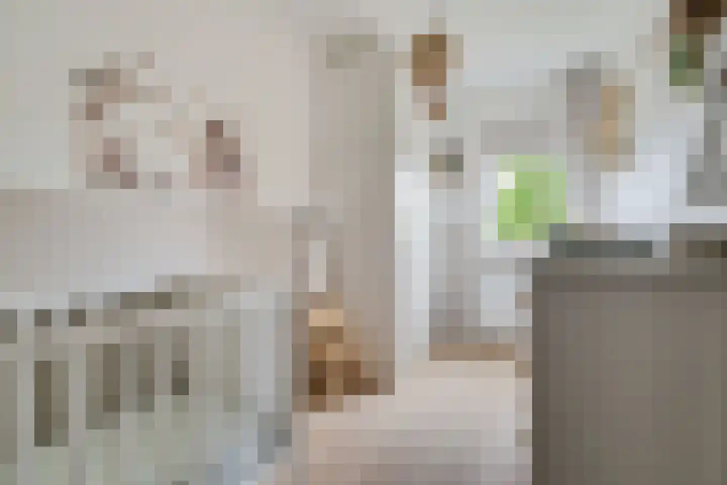 Pastinaak 16 Genemuiden thumbnail 32