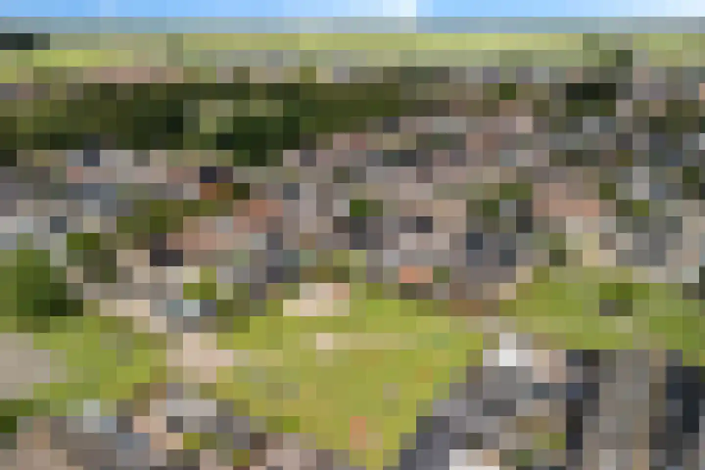 Pastinaak 16 Genemuiden thumbnail 7