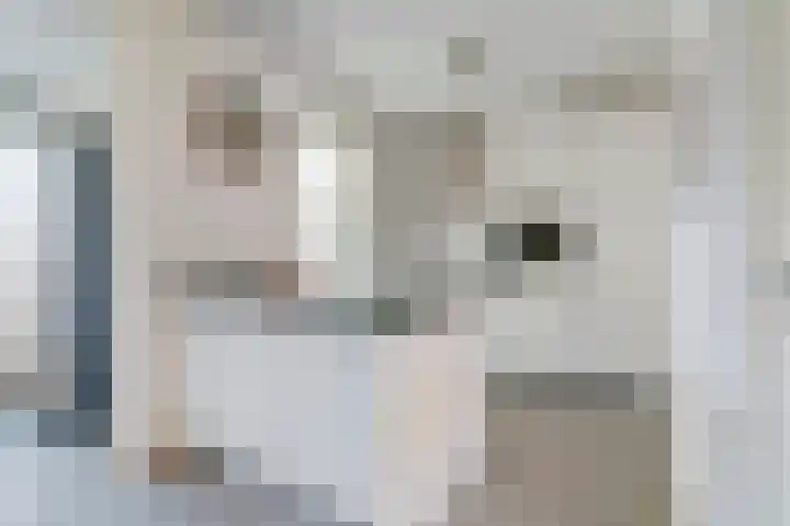 Pastinaak 3 Diessen thumbnail 12