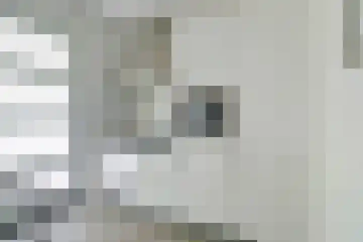 Pastinaak 3 Diessen thumbnail 13