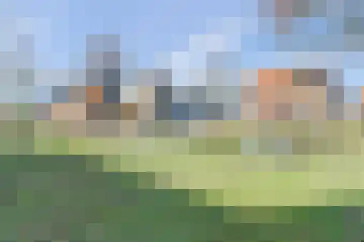Pastinaak 3 Diessen foto 3