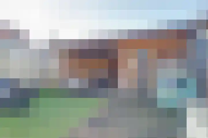 Pastinaak 3 Diessen thumbnail 30
