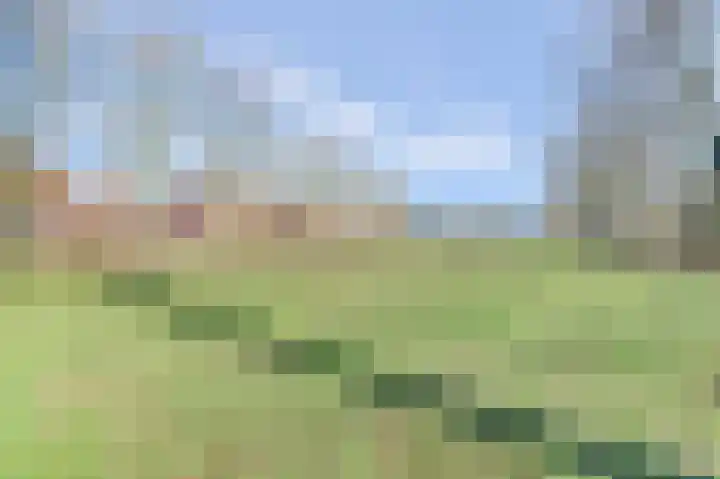 Pastinaak 3 Diessen thumbnail 34