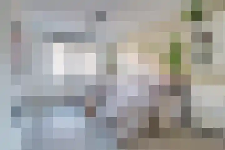Pastinaak 3 Diessen thumbnail 6