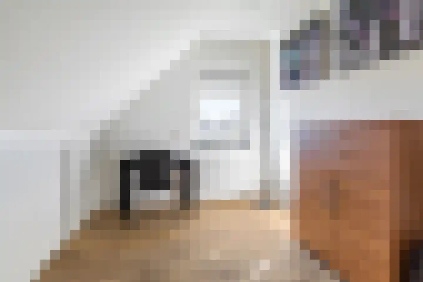 Pastinaak 3 Dorst thumbnail 27