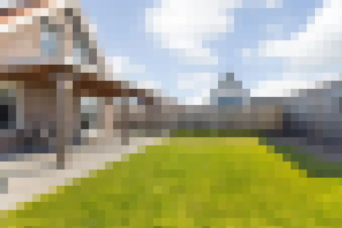 Pastinaak 3 Dorst thumbnail 31