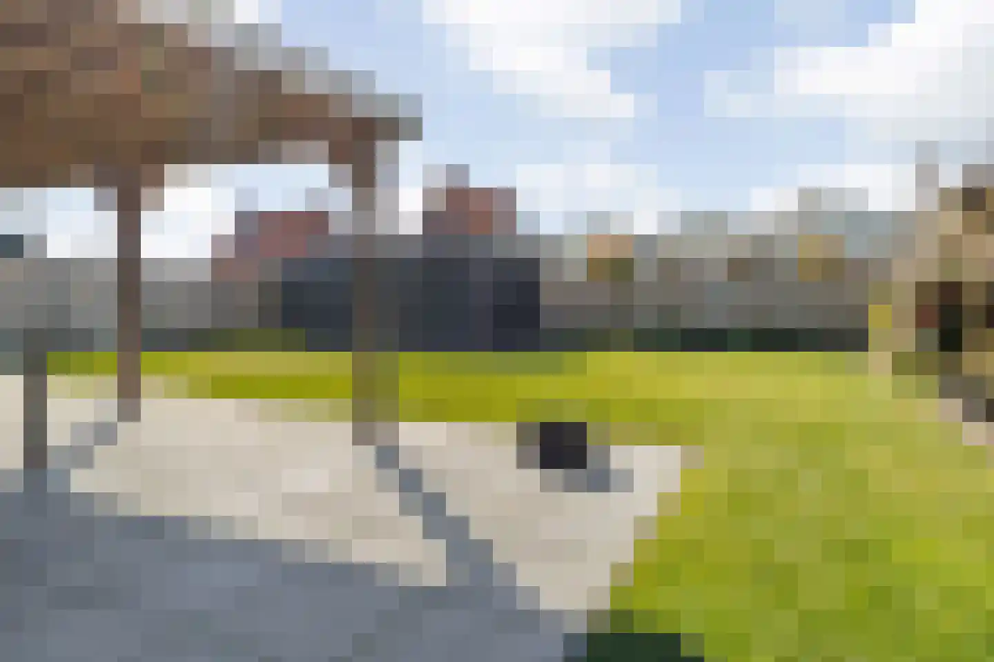 Pastinaak 3 Dorst thumbnail 33