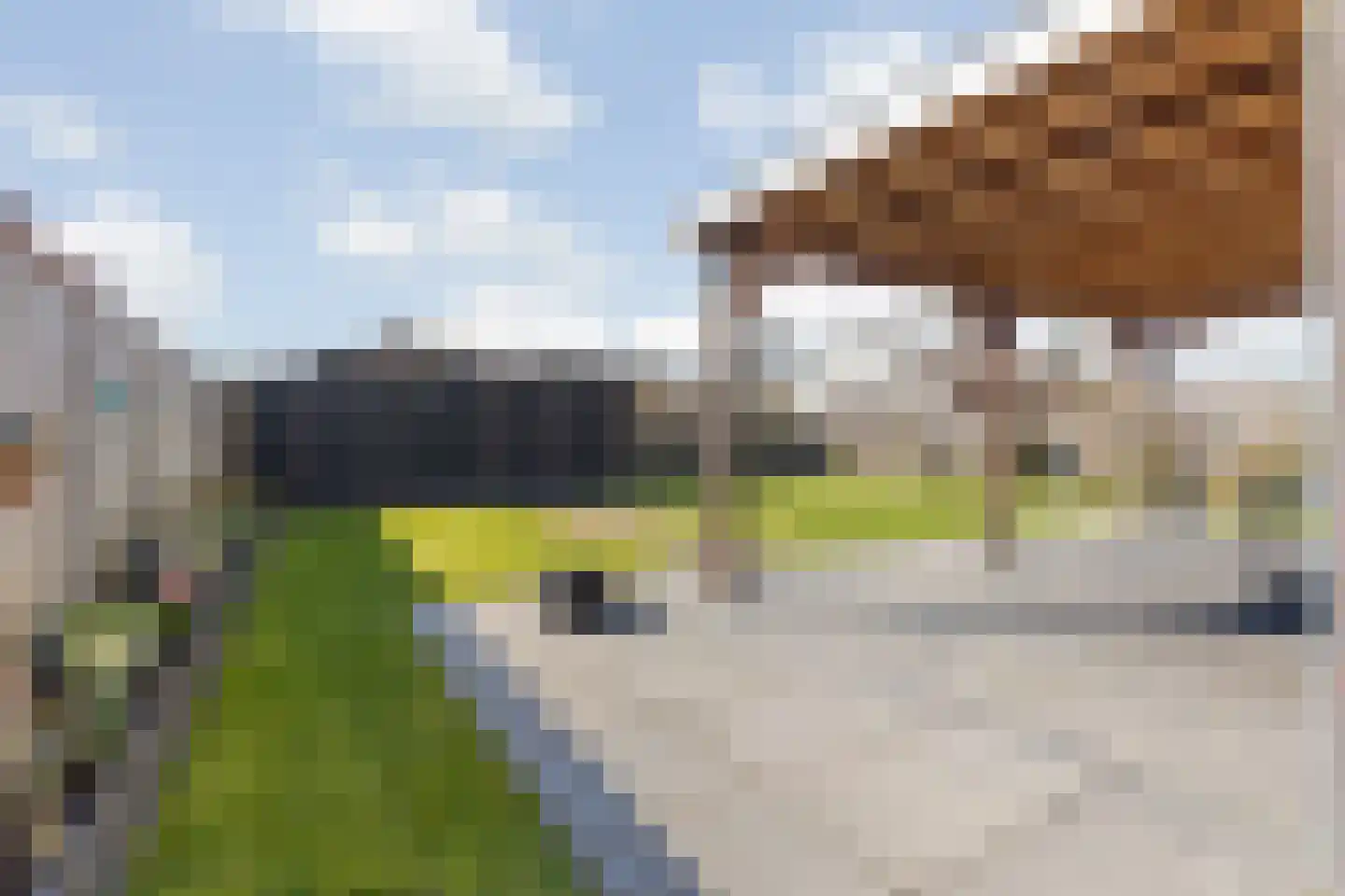 Pastinaak 3 Dorst thumbnail 34