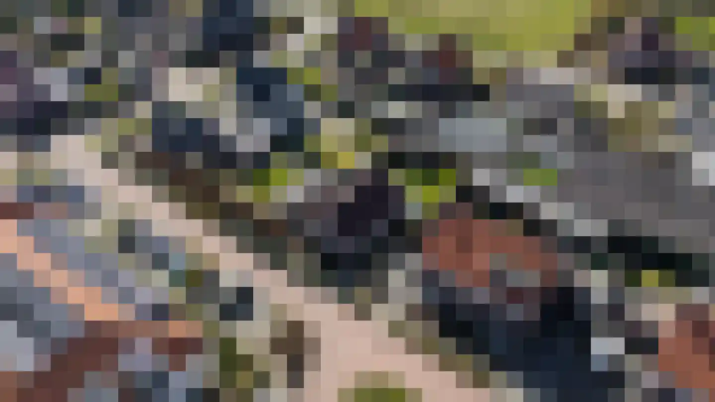 Pastinaak 3 Dorst thumbnail 39