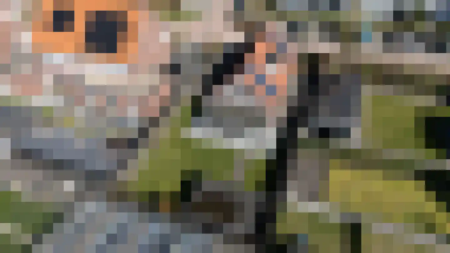 Pastinaak 3 Dorst thumbnail 41