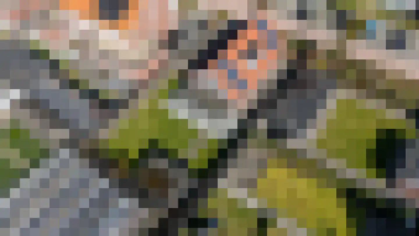 Pastinaak 3 Dorst thumbnail 42