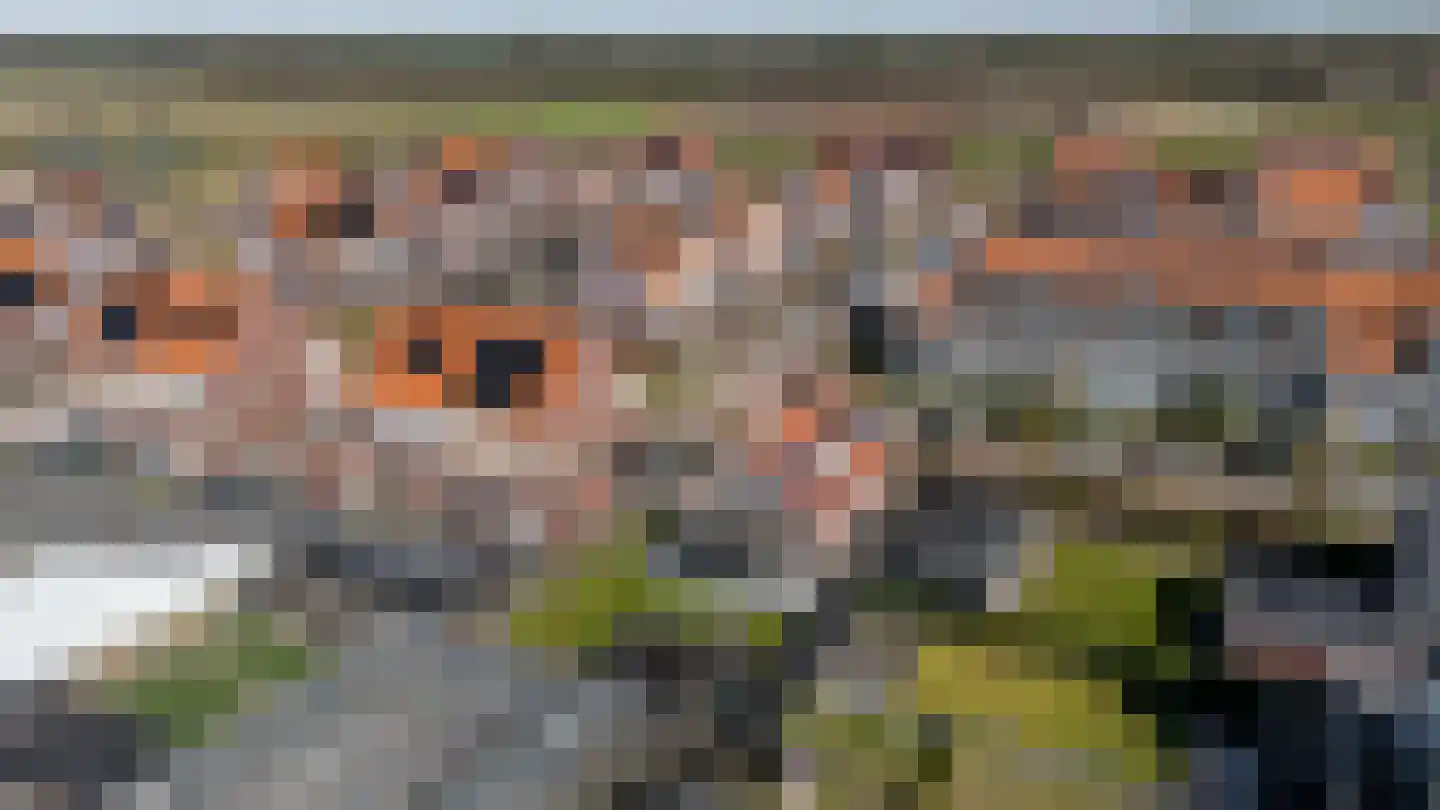 Pastinaak 3 Dorst thumbnail 43