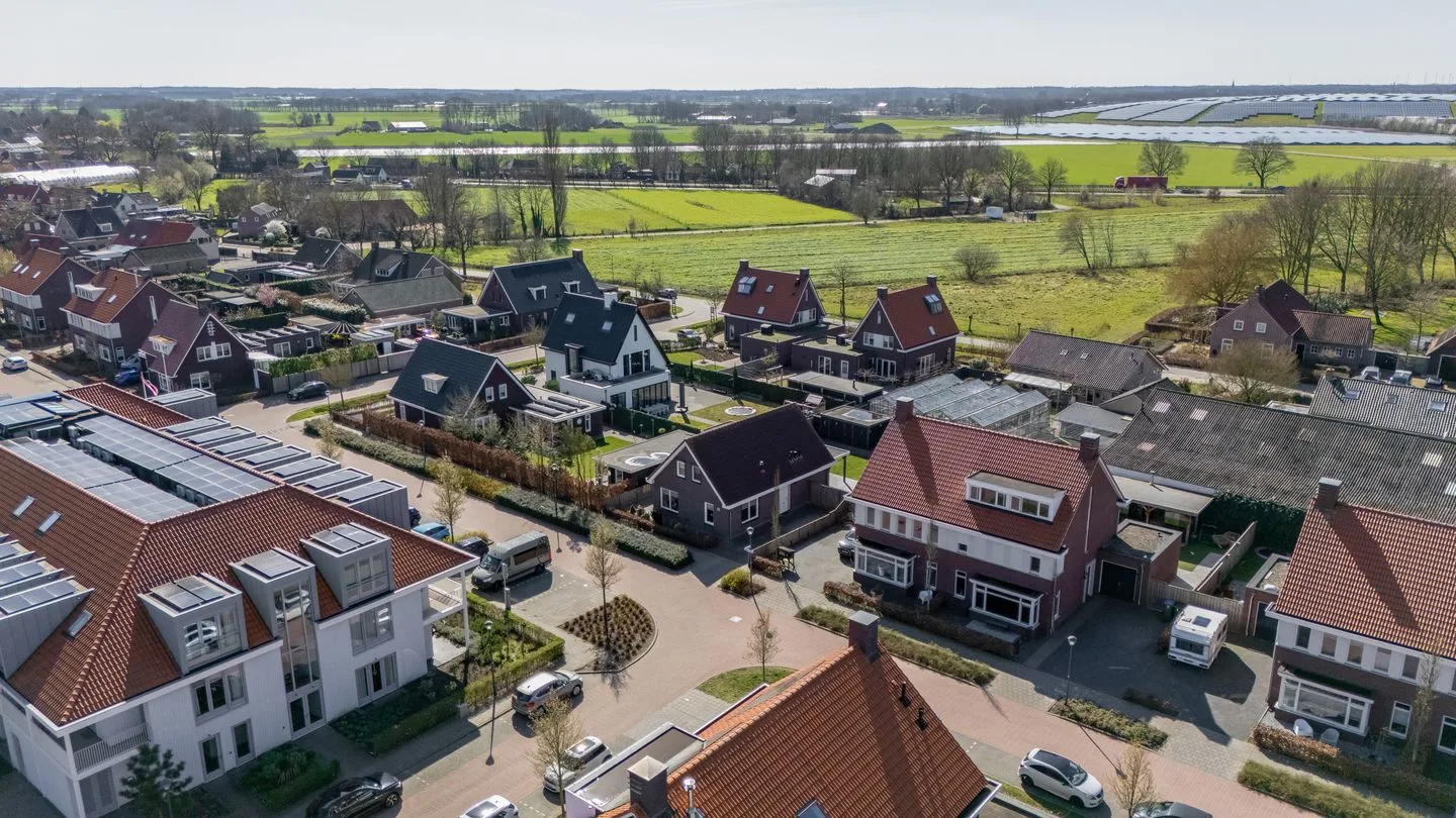 Pastinaak 3 Dorst thumbnail 45