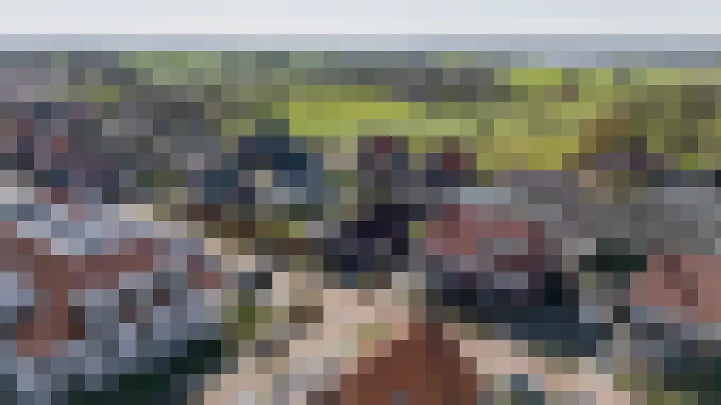 Pastinaak 3 Dorst thumbnail 45