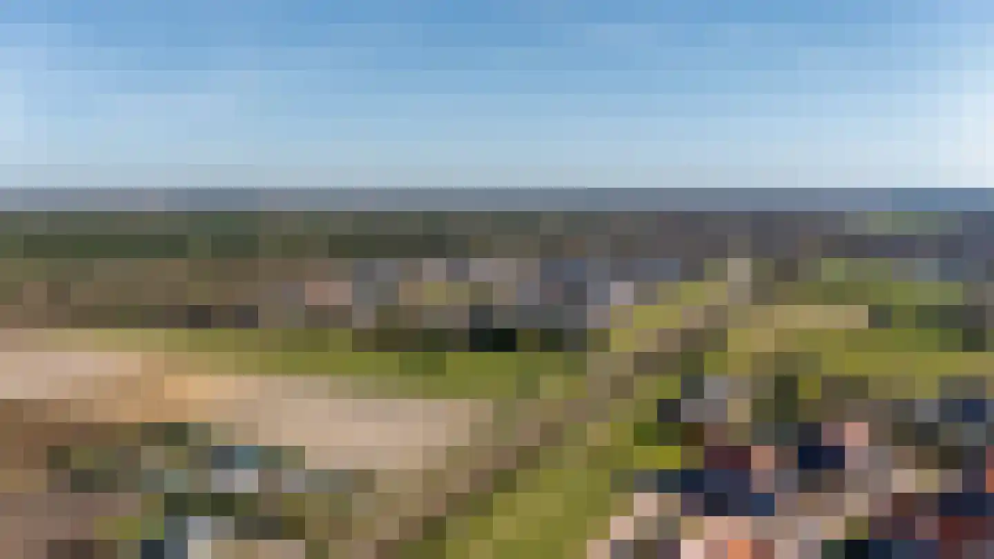 Pastinaak 3 Dorst thumbnail 46