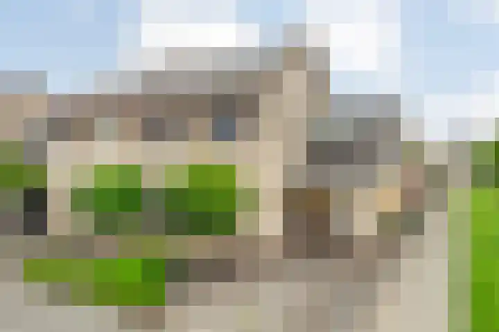 Pastinaak 32 Rijssen