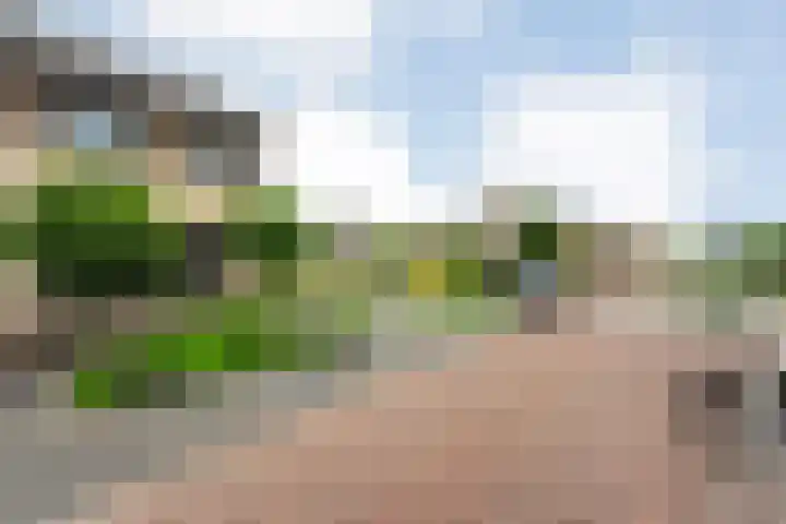 Pastinaak 32 Rijssen thumbnail 10