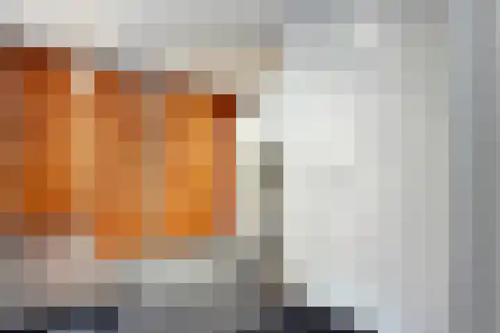 Pastinaak 32 Rijssen thumbnail 20