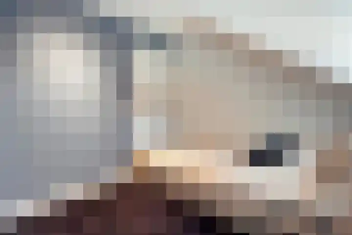 Pastinaak 32 Rijssen thumbnail 29