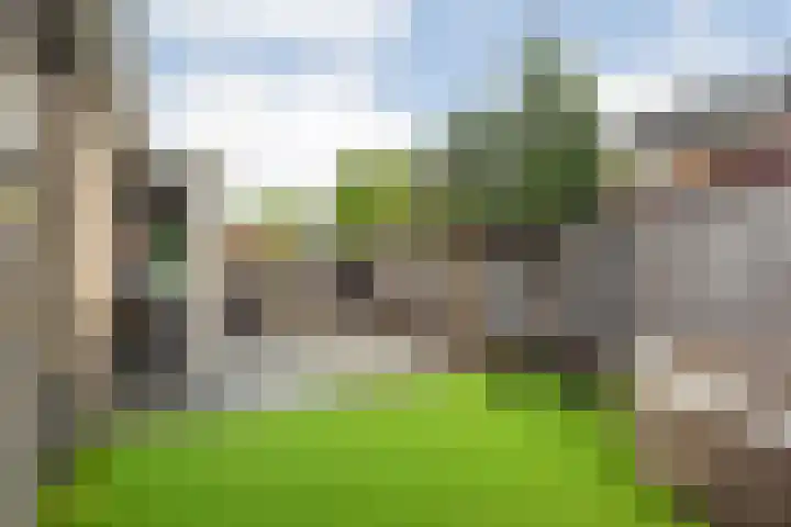 Pastinaak 32 Rijssen thumbnail 39