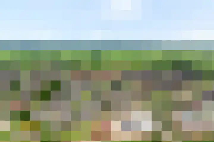 Pastinaak 32 Rijssen thumbnail 4