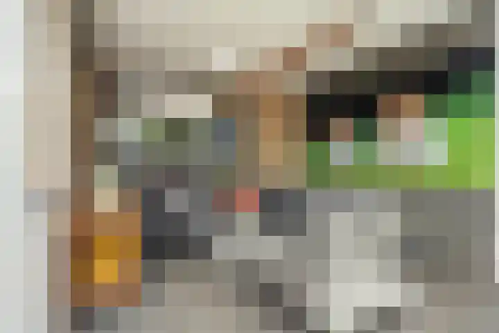 Pastinaak 32 Rijssen thumbnail 40
