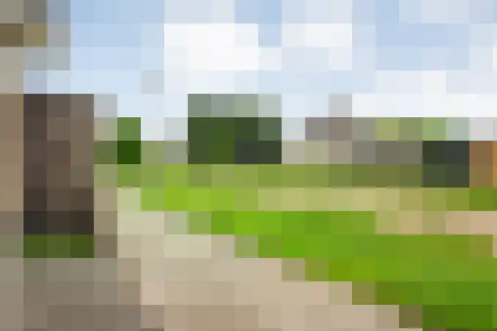 Pastinaak 32 Rijssen thumbnail 43