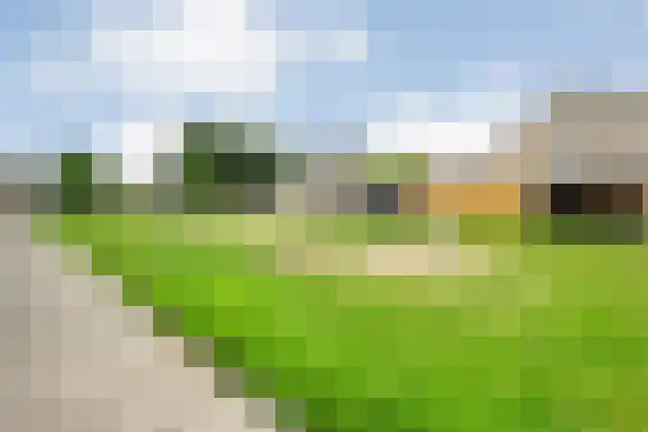 Pastinaak 32 Rijssen thumbnail 44
