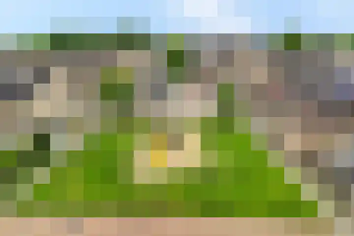 Pastinaak 32 Rijssen thumbnail 45