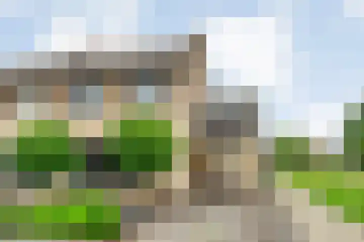 Pastinaak 32 Rijssen thumbnail 46