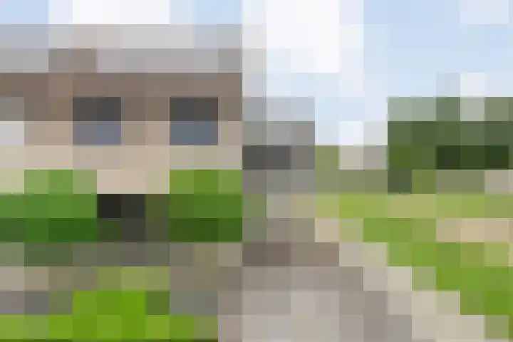 Pastinaak 32 Rijssen thumbnail 5