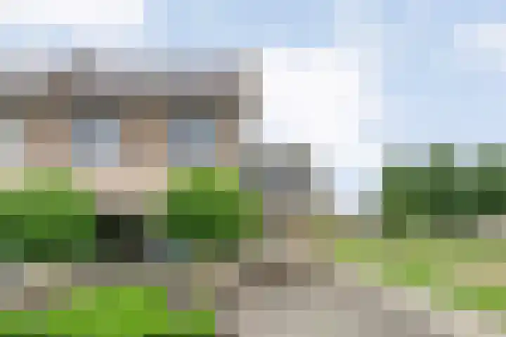 Pastinaak 32 Rijssen thumbnail 6