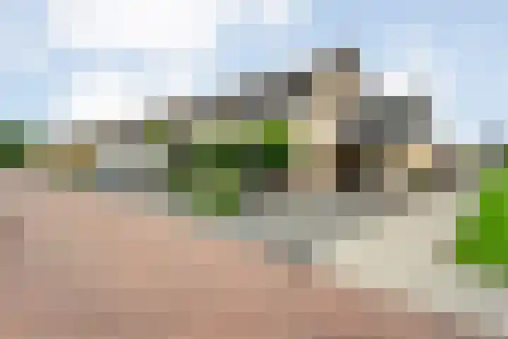 Pastinaak 32 Rijssen thumbnail 7