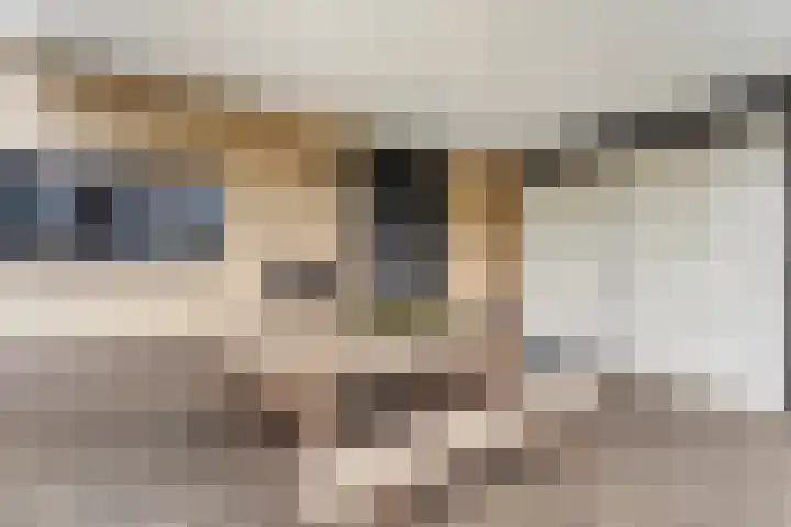 Pastinaak 32 Rijssen thumbnail 8