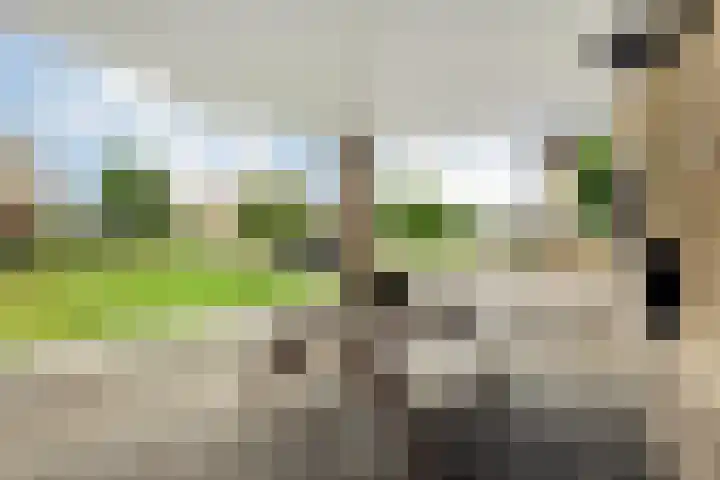 Pastinaak 32 Rijssen thumbnail 9